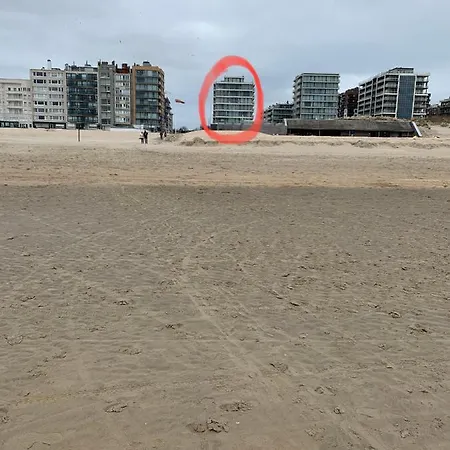 En Bord De - La Vie Bohème De Panne